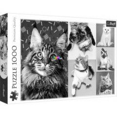 Puzzle - Boldog macskk, 1000 db