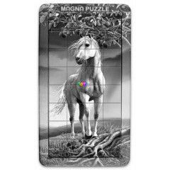 3D Magna - Mgneses ikrak - L, ll