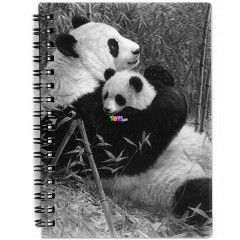 3D notesz - Pandk