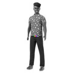 Barbie Fashionistas - Barna br Ken baba virgmints ingben