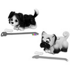 Blki tanoda - Border Collie s Boxer