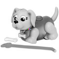 Blki tanoda - Golden Retriever