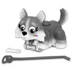Blki tanoda - Husky