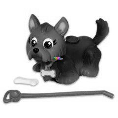 Blki tanoda - Yorkie