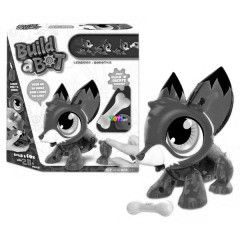 Build a Bot - pts robot rkt!