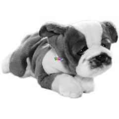 Buldog kutya, 28 cm