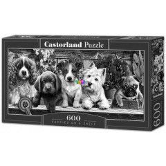 Castorland - Kiskutyusok a polcon, 600 db