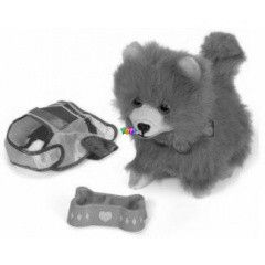 Chi Chi Love Friend Lucky