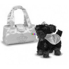 Chi Chi Love Starlet