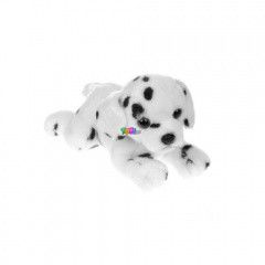 Dalmata 30 cm