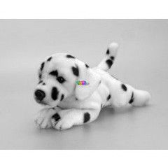 Dalmata kutya - 25 cm