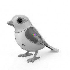 Digibirds 2 - Arsty, vilgoskk-srga madr