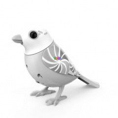 Digibirds 2 - Candy, vilgoskk-fehr madr
