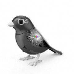 Digibirds 2 - Fireworks, lila madr