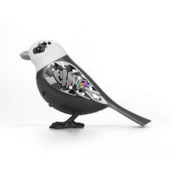 Digibirds 2, kalitkban - Graffiti, rzsaszn-fehr madr