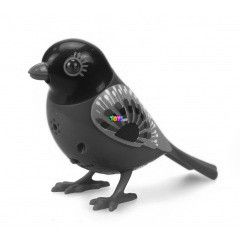 Digibirds 2 - Madr csillog szemekkel - Daye, narancssrga-piros