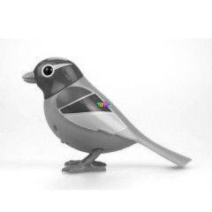 Digibirds 2 - sszekapcsolhat madrszobval - Sunset, srga-rzsaszn madr