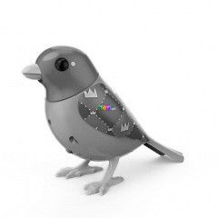 Digibirds 2 - Royal, lila-kk madr