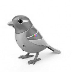 Digibirds 2 - Sunset, srga-rzsaszn madr