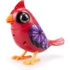 DigiBirds - nekl madrkk - Kardinlispinty