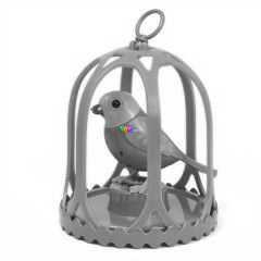 Digibirds - Kalitkban - Daisy, zld-pink
