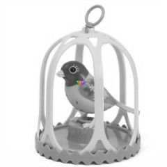 Digibirds - Kalitkban - Flora, kk-piros