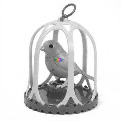 Digibirds - Kalitkban - Juliet, pink-srga