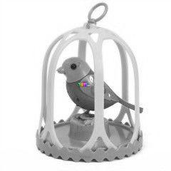 Digibirds - Kalitkban - Sophie, lila-srga
