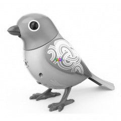 Digibirds - Madr - Amber, vilgoskk-zld
