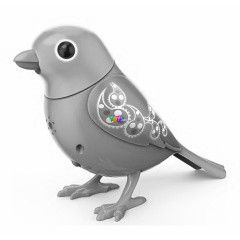 Digibirds - Madr - Jade, sttkk-zld