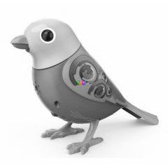 Digibirds - Madr - Legacy, lila-pink