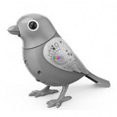 Digibirds: Madr - Sophie, lila-srga