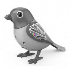 Digibirds - Madr - Sunbeam, srga-narancs
