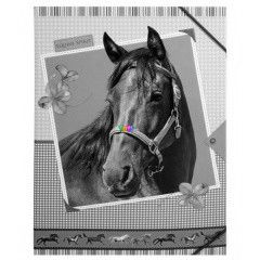 Equine Spirit: Lovas fzettart doboz - A4-es