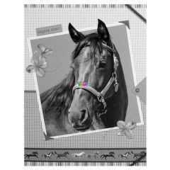 Equine Spirit - Lovas fzettart doboz - A5-s