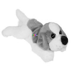Fekv beagle kutya, 30 cm