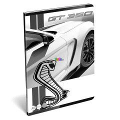 Ford GT vonalas fzet - A5, 21-32