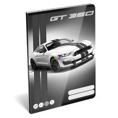 Ford Mustang - 1. osztlyos vonalas fzet, A5, 14-32