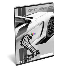 Ford Mustang - Vonalas fzet - A4, 81-32