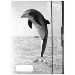 Herlitz - Gumis mappa - A4, Delfin
