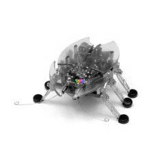 Hexbug - Charlie kk robot bogr