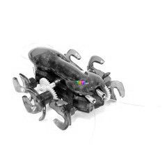 Hexbug - Kk hangya