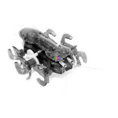 Hexbug - Zld hangya