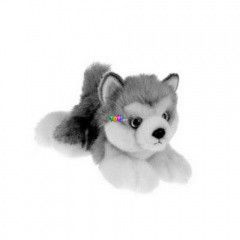 Husky klyk 20 cm 