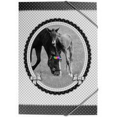 Irattart mappa - Lovely Horses, A5