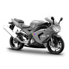 Kawasaki Ninja ZX10R, 1:12