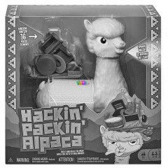 Kpkds Alpaka trsasjtk