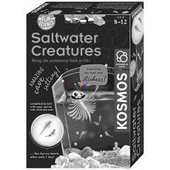 Kosmos - Saltwater Creatures - Ssvzi teremtmnyek ksrleti szett