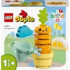 LEGO 10981 - Els kszletek Srgarpa-ltets
