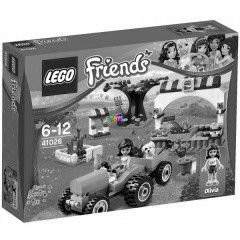 LEGO 41026 - Betakarts